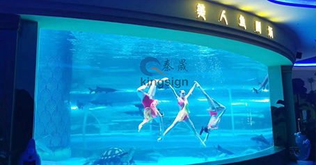 Proyekto ng aquarium ng karagatan.