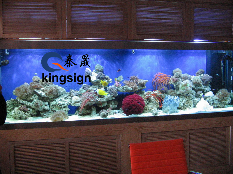 Ano ang pagkakaiba sa pagitan ng acrylic fish tank at glass fish tank?