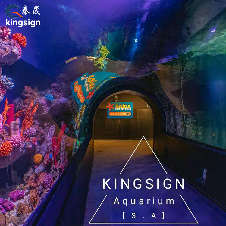Paano Mababago ng Pampublikong Aquarium ang Karanasan ng Bisita at Halaga ng Negosyo?